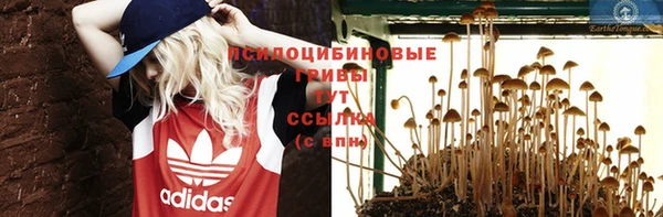 спиды Верхний Тагил