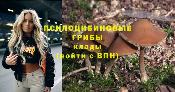 спиды Верхний Тагил