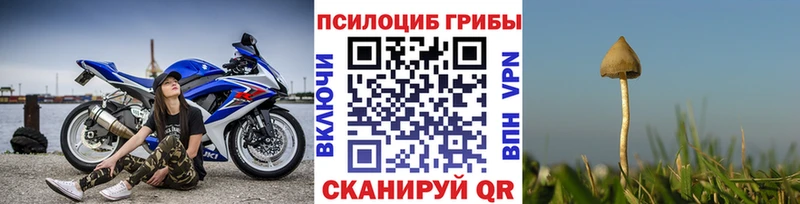 Галлюциногенные грибы Magic Shrooms  Дзержинск 